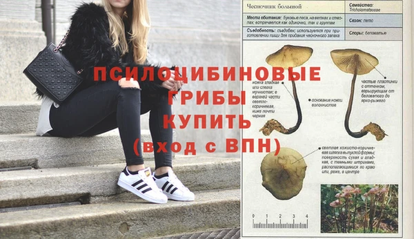 кокаин VHQ Беломорск