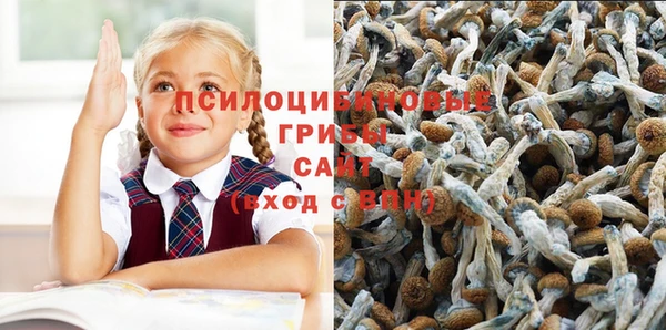 синтетический гашиш Белоозёрский