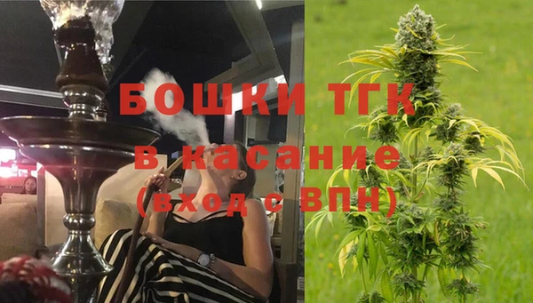 трава Аркадак