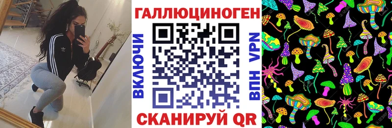 Псилоцибиновые грибы Psilocybine cubensis  Кашира 